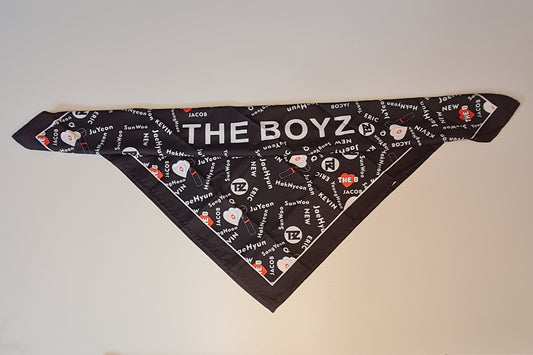 The Boyz - Tuch